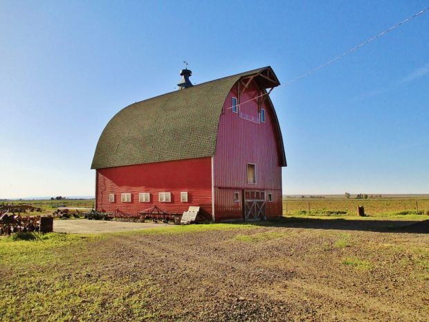 Barn